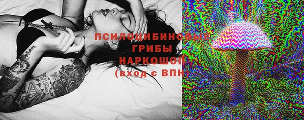 ешки Бугульма