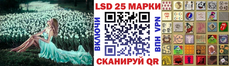 дарнет шоп  Дегтярск  Наркотические марки 1,5мг 