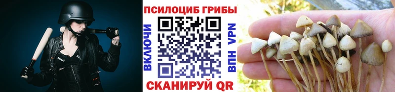 Псилоцибиновые грибы Psilocybe  Дегтярск 