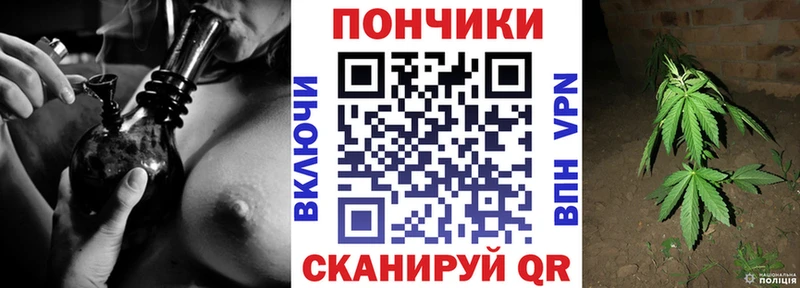 купить наркотики цена  Дегтярск  Канабис семена 
